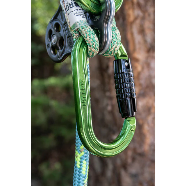 NOTCH ABSOLUTE OVAL CARABINER - Image 4